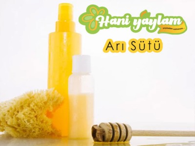 Arı Sütü ( 15 Gr )