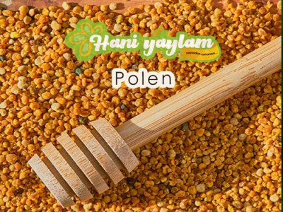 Polen (400 gr) 