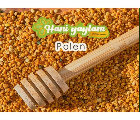Polen (400 gr) 