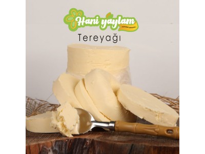 Tereyağı